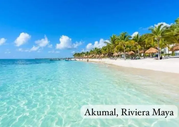 El Ultimo Maya Akumal